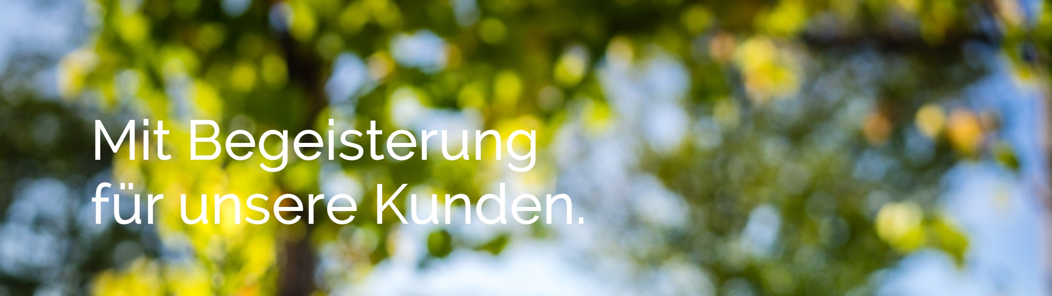 Full Width Image