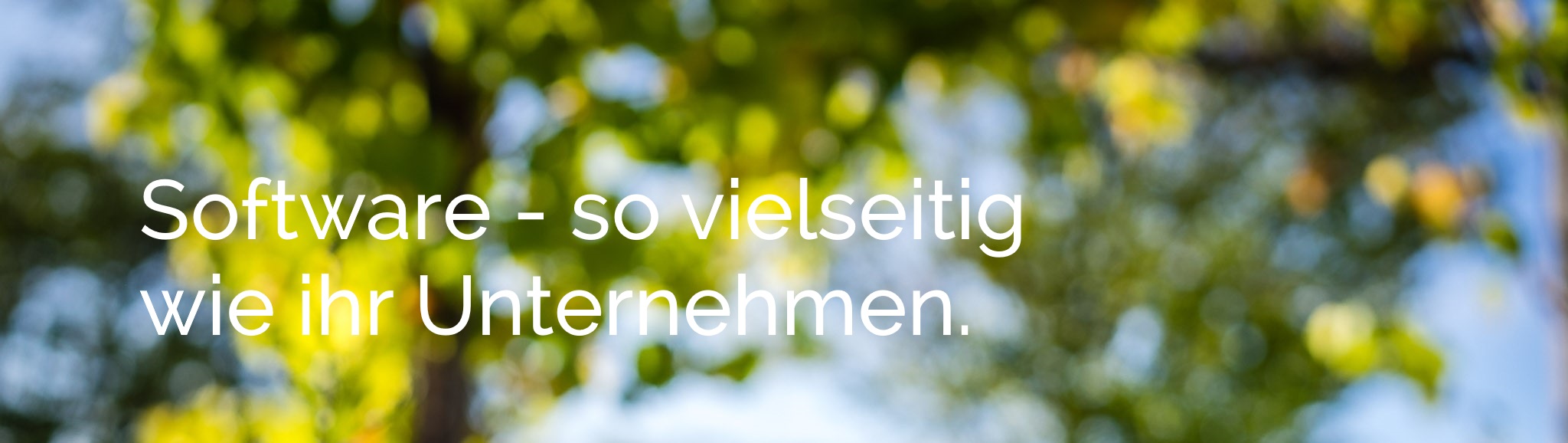Full Width Image